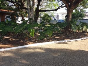 IMG-20200731-WA0114